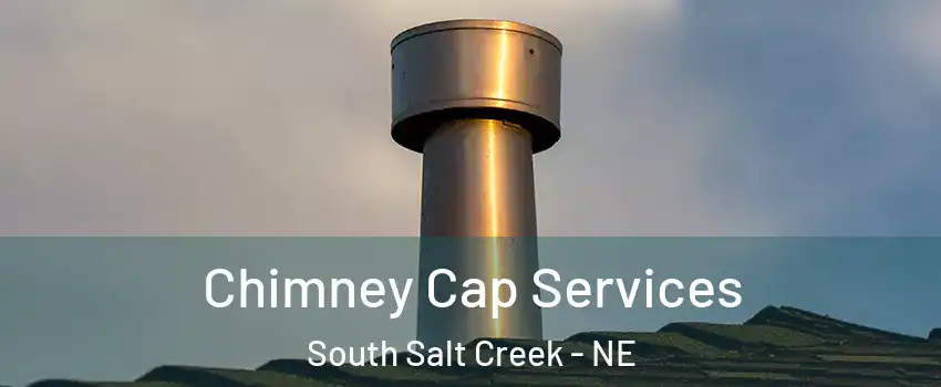 Chimney Cap Services South Salt Creek - NE