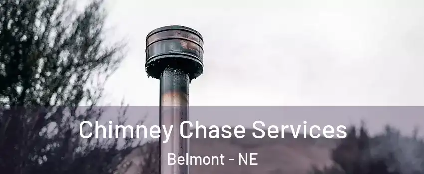 Chimney Chase Services Belmont - NE