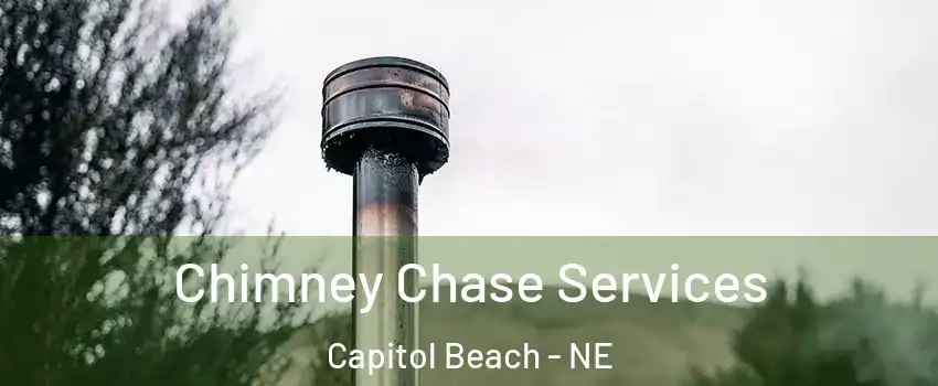 Chimney Chase Services Capitol Beach - NE