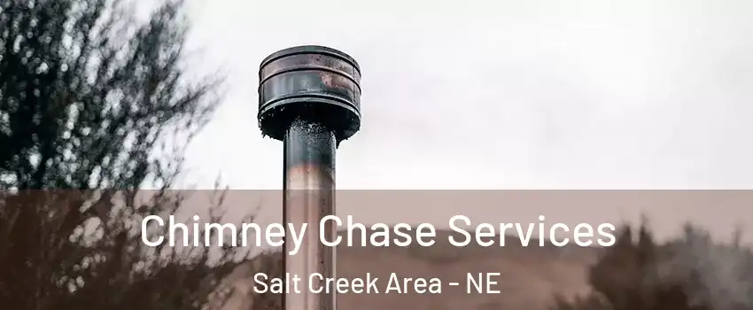 Chimney Chase Services Salt Creek Area - NE