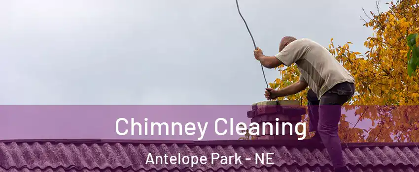 Chimney Cleaning Antelope Park - NE