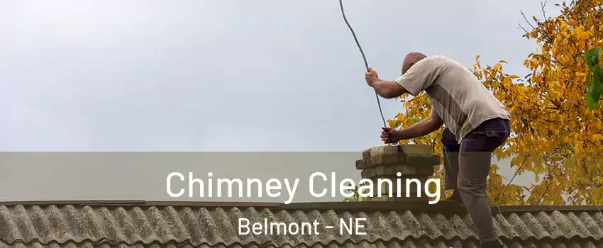 Chimney Cleaning Belmont - NE