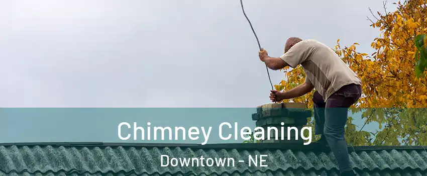 Chimney Cleaning Downtown - NE