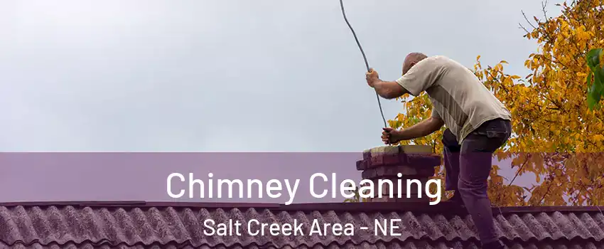 Chimney Cleaning Salt Creek Area - NE