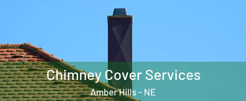 Chimney Cover Services Amber Hills - NE