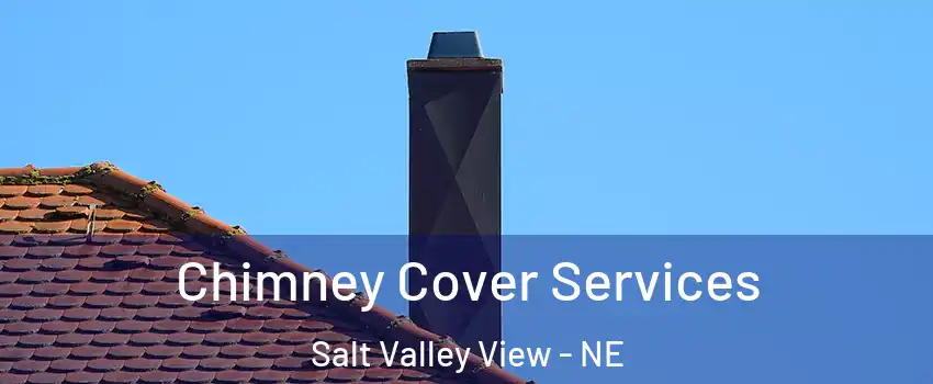 Chimney Cover Services Salt Valley View - NE