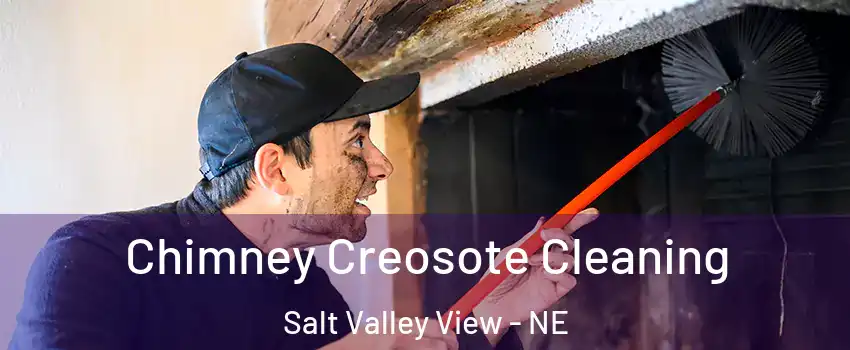 Chimney Creosote Cleaning Salt Valley View - NE