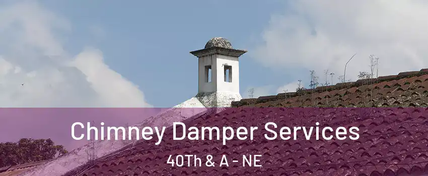 Chimney Damper Services 40Th & A - NE