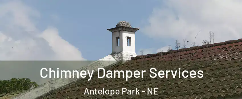 Chimney Damper Services Antelope Park - NE