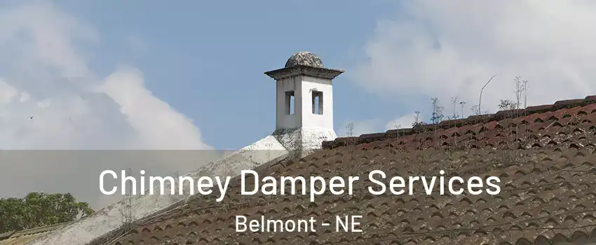 Chimney Damper Services Belmont - NE