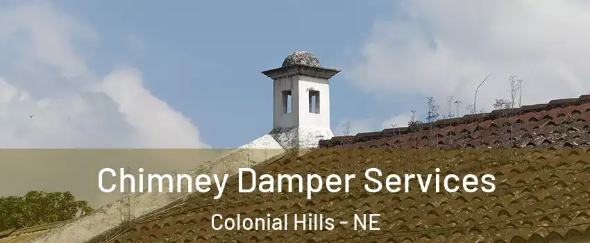 Chimney Damper Services Colonial Hills - NE