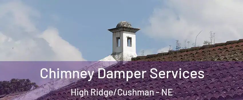 Chimney Damper Services High Ridge/Cushman - NE