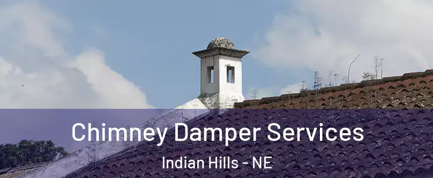 Chimney Damper Services Indian Hills - NE