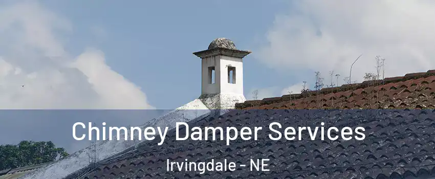 Chimney Damper Services Irvingdale - NE