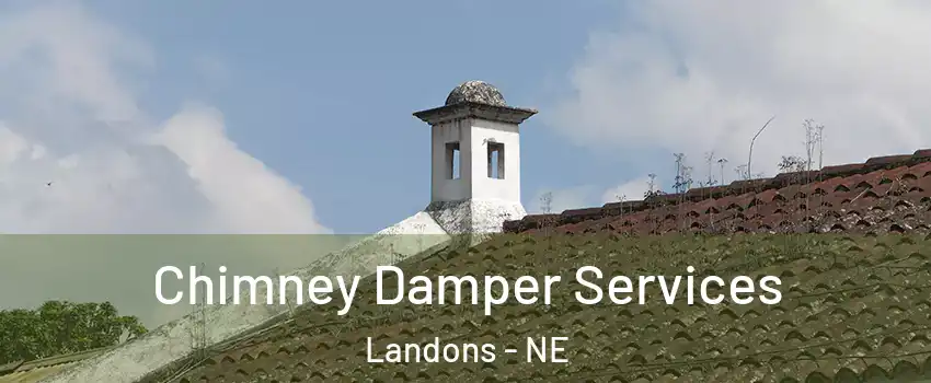 Chimney Damper Services Landons - NE