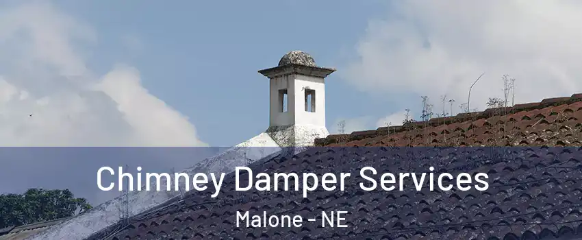 Chimney Damper Services Malone - NE