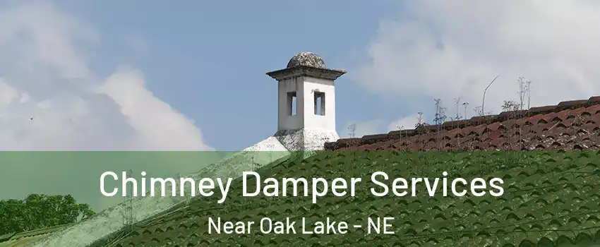 Chimney Damper Services Near Oak Lake - NE