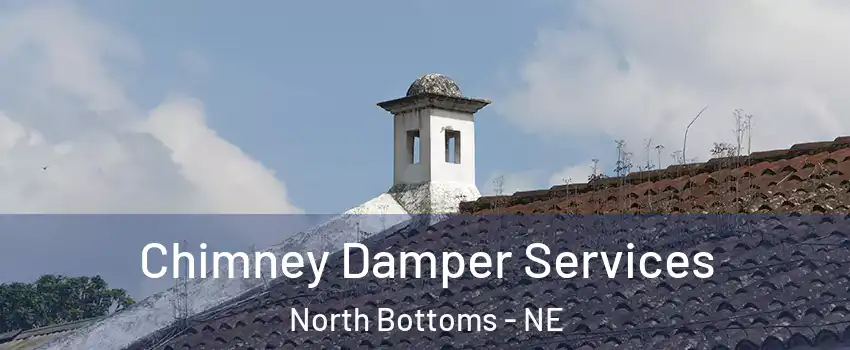 Chimney Damper Services North Bottoms - NE