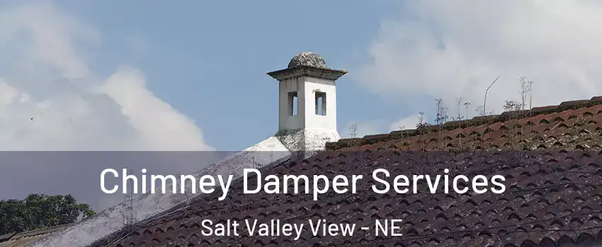 Chimney Damper Services Salt Valley View - NE