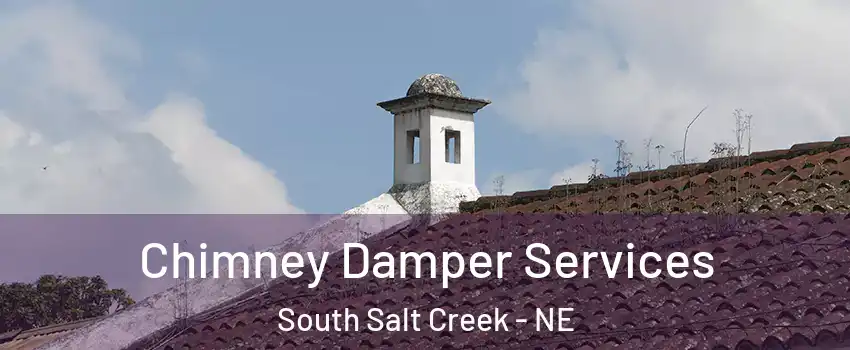 Chimney Damper Services South Salt Creek - NE