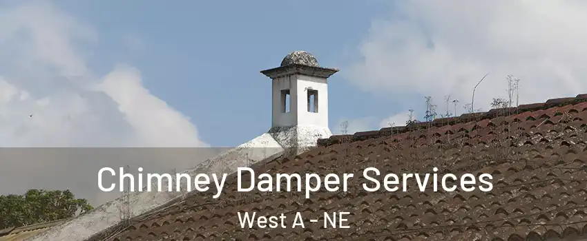 Chimney Damper Services West A - NE