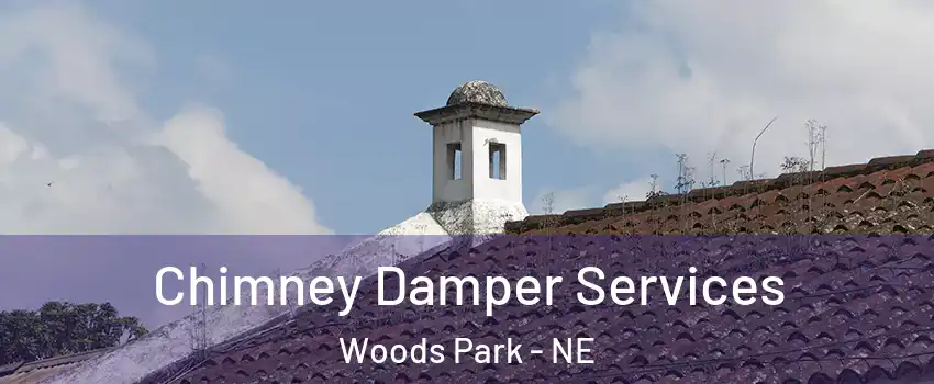 Chimney Damper Services Woods Park - NE
