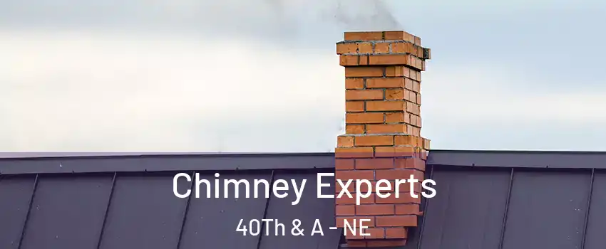 Chimney Experts 40Th & A - NE