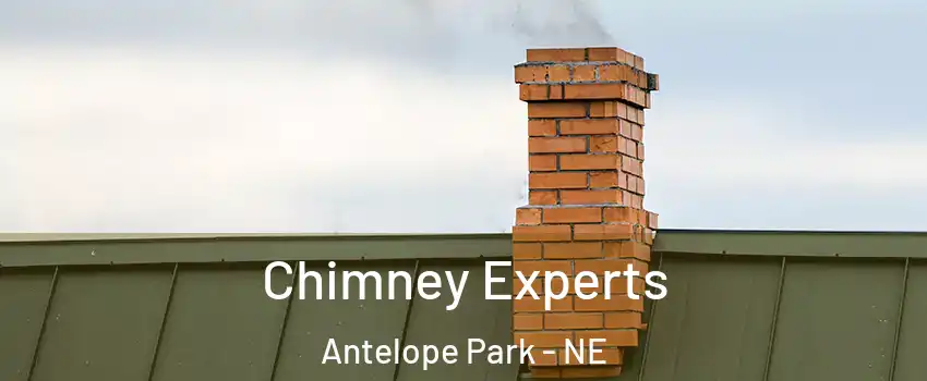 Chimney Experts Antelope Park - NE