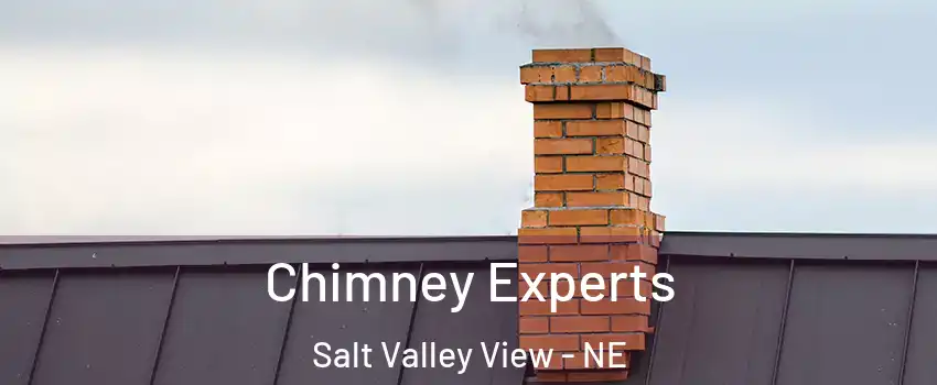 Chimney Experts Salt Valley View - NE