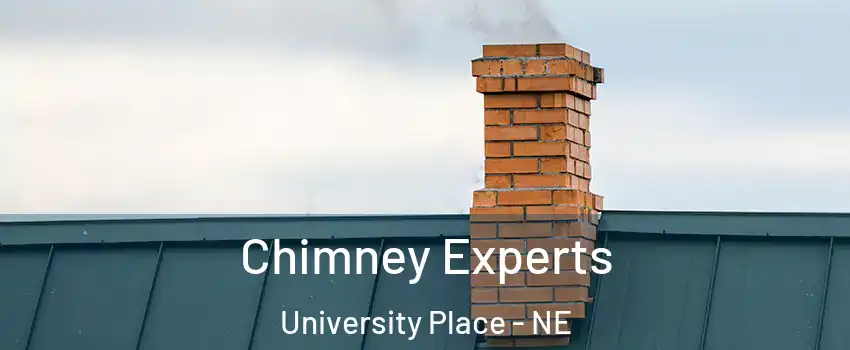 Chimney Experts University Place - NE