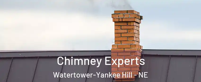 Chimney Experts Watertower-Yankee Hill - NE