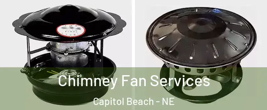 Chimney Fan Services Capitol Beach - NE