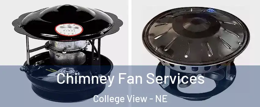 Chimney Fan Services College View - NE