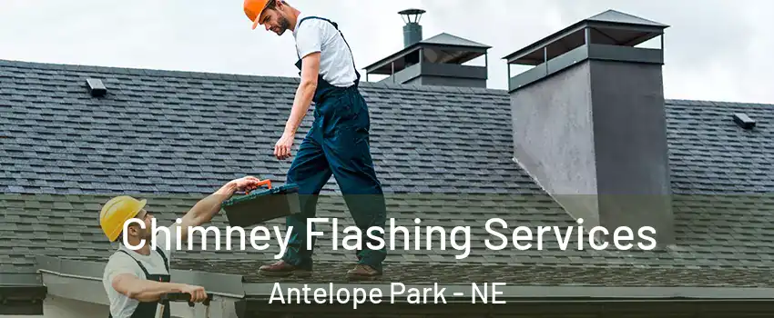 Chimney Flashing Services Antelope Park - NE