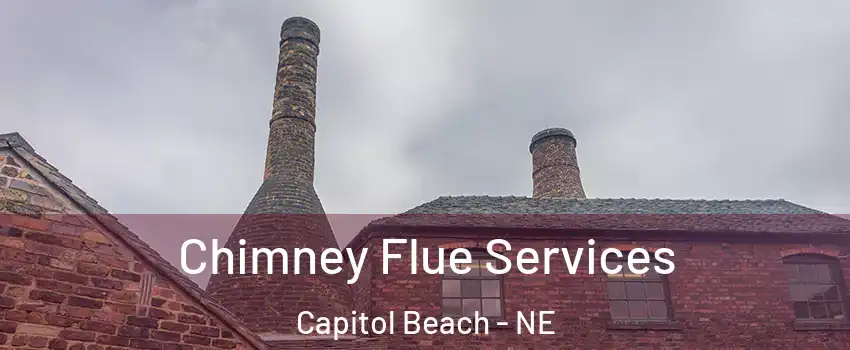 Chimney Flue Services Capitol Beach - NE