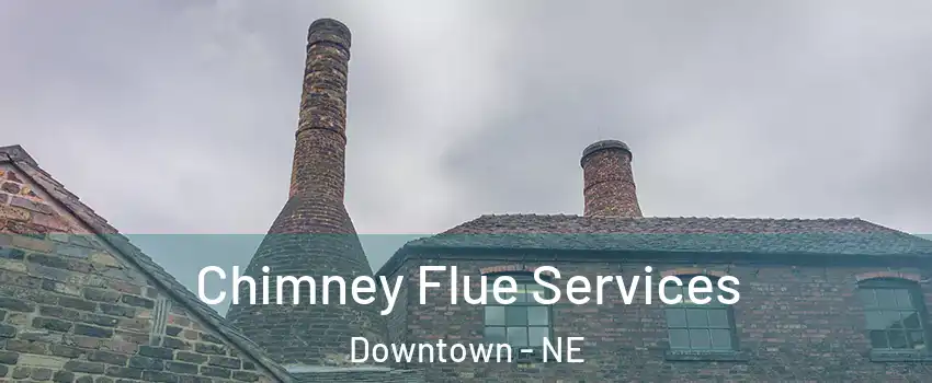 Chimney Flue Services Downtown - NE