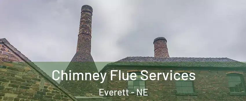 Chimney Flue Services Everett - NE