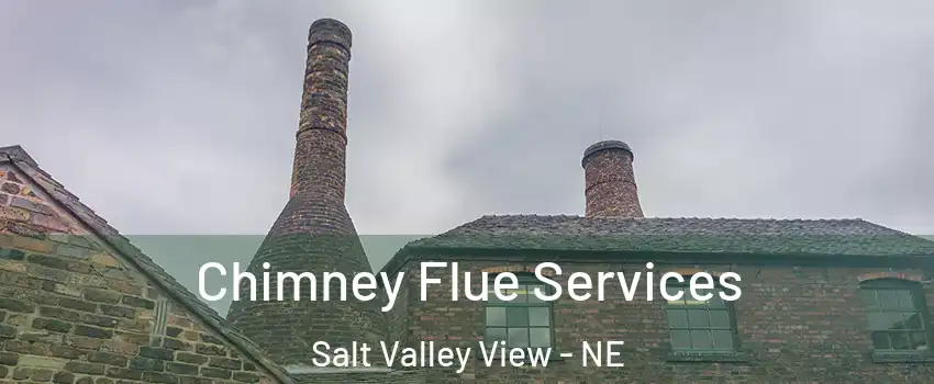 Chimney Flue Services Salt Valley View - NE