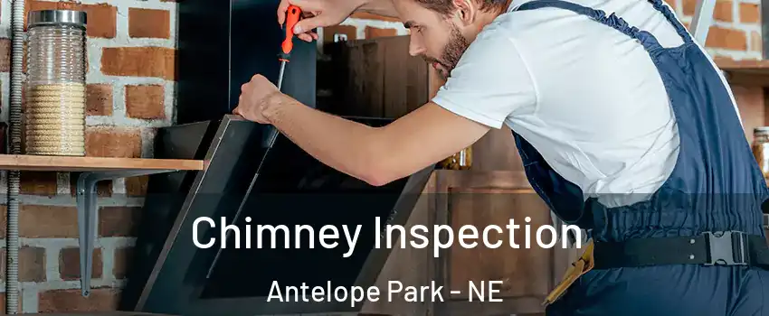 Chimney Inspection Antelope Park - NE