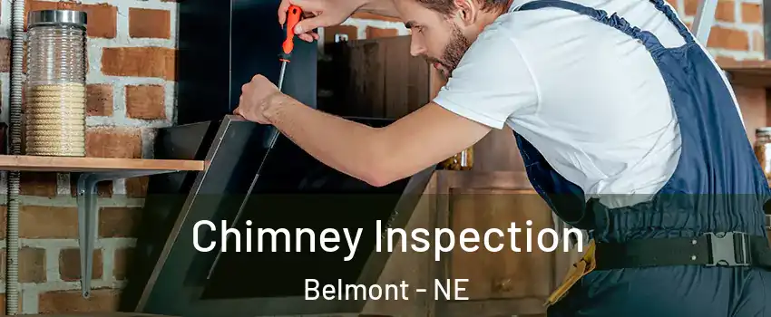 Chimney Inspection Belmont - NE