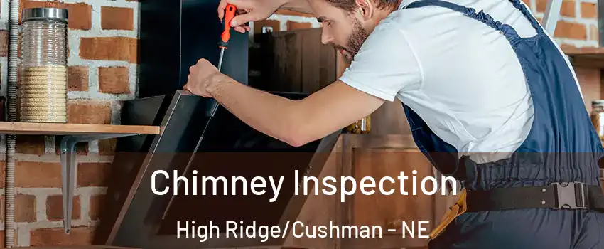 Chimney Inspection High Ridge/Cushman - NE