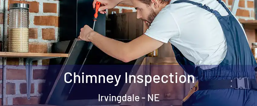 Chimney Inspection Irvingdale - NE