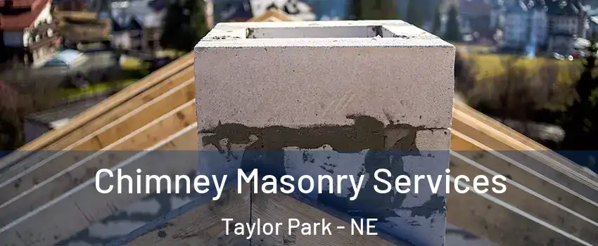 Chimney Masonry Services Taylor Park - NE