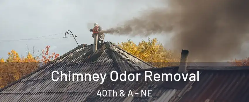 Chimney Odor Removal 40Th & A - NE