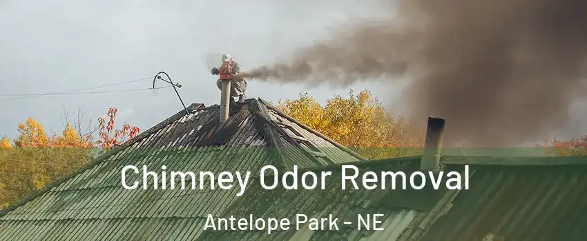 Chimney Odor Removal Antelope Park - NE