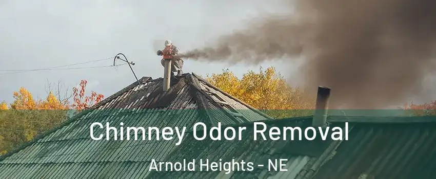 Chimney Odor Removal Arnold Heights - NE