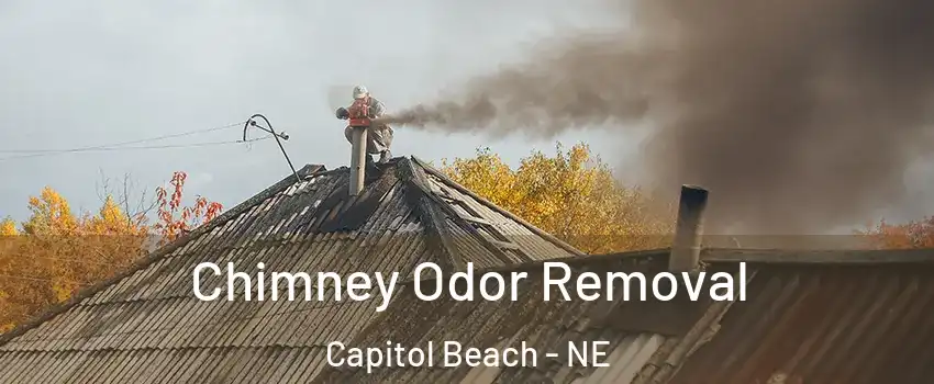 Chimney Odor Removal Capitol Beach - NE