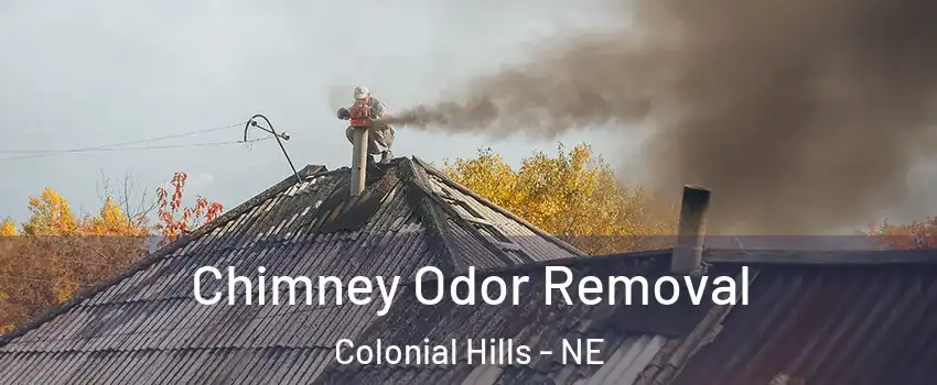 Chimney Odor Removal Colonial Hills - NE