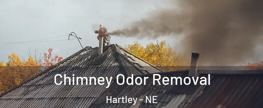 Chimney Odor Removal Hartley - NE