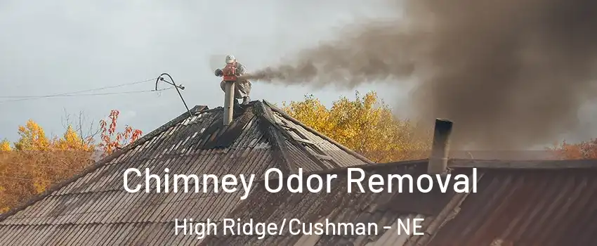 Chimney Odor Removal High Ridge/Cushman - NE
